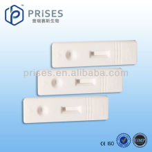 When Is A Woman Fertile