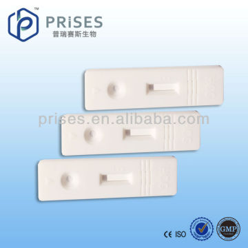 When Is A Woman Fertile