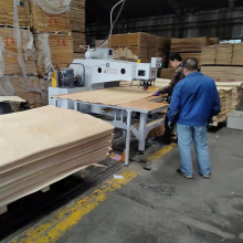 Automatic Veneer Patch Repair Machine for Veneer