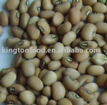 Pink cowpea