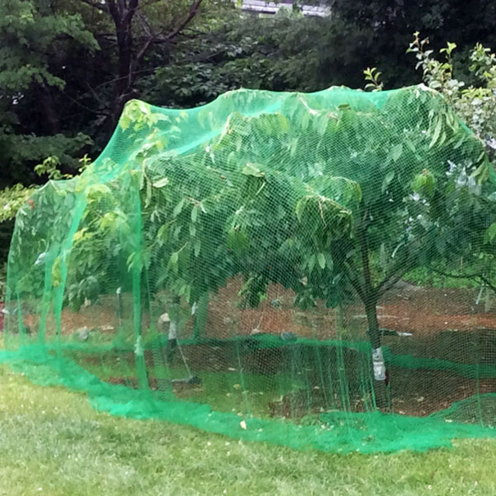 Rete protettiva per alberi in plastica