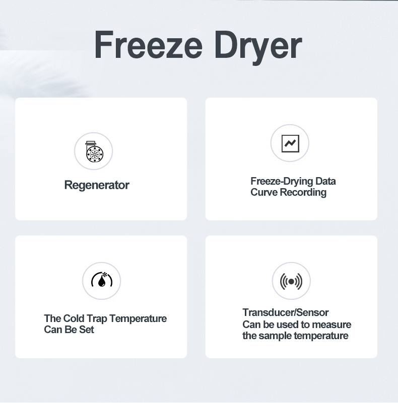 ZZKD Freeze Drying Equipment