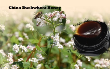 High quality natural and pure dark honey