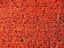 Decorative 2200Dtex Red Artificial Grass Turf Yarn for Indo