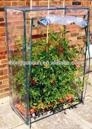 tomato greenhouse,greenhouse agricultural,home greenhouse for flower and plant