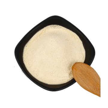 Dehydrated Garlic Extract Powder