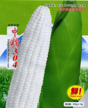 Chinese Hybrid F1 White Field Corn Seed For Sale