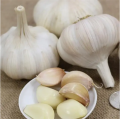 Fresh garlic in bulk, Fresh Vegetables, good quality