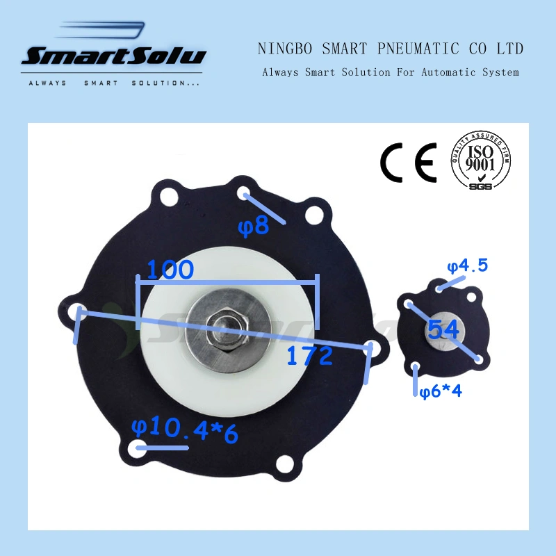 Diaphragm for Joil 2 1/2