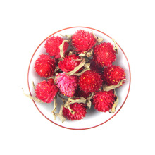 Wholesale Natural Dried Flowers: Health Herb Pure Gomphrena Globosa Red Globe Amaranth