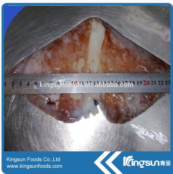 Frozen Giant Squid Wing 500-1000g