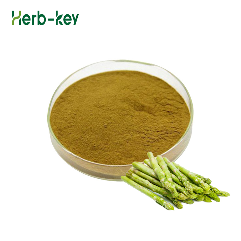 Organic Dried Asparagus Officinalis Extract Powder