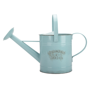 Indoor Walmart Watering Can Haws