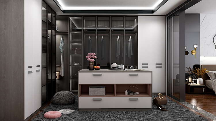  black Fashion built-in wardrobe with Glass