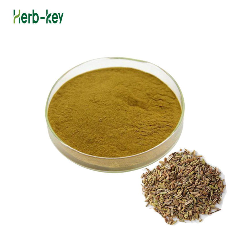 Herbal Extracts Fennel Extract Powder