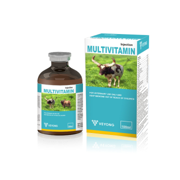 Multivitamin Injection for Cattle Use