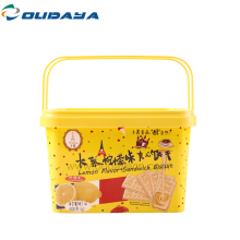 custom logo 3L plastic box with lid and handle