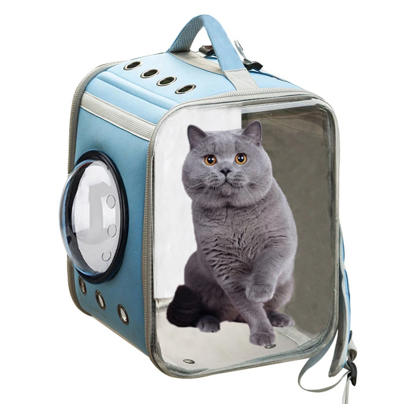 Breathable Cat Pet Backpack Bags Foldable Transparent Laser Pet Carrier Backpack for Outdoor