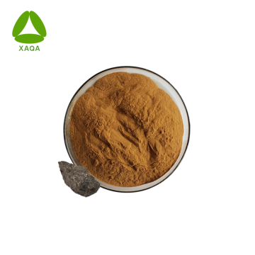 Himalayan Organic Shilajit Resin Extract Powder Capsules