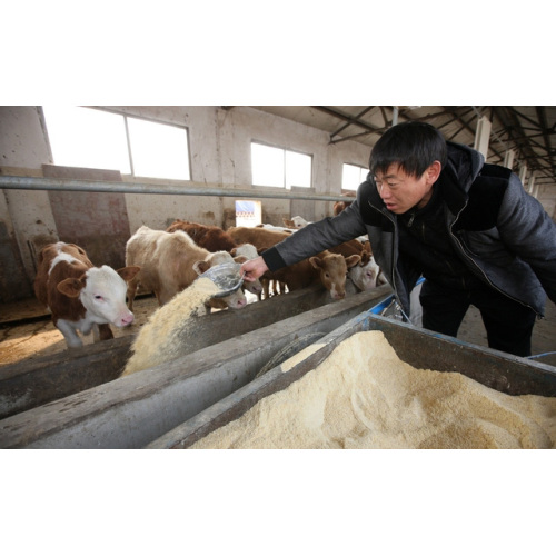 Refined Sea Salt for Animal Feed