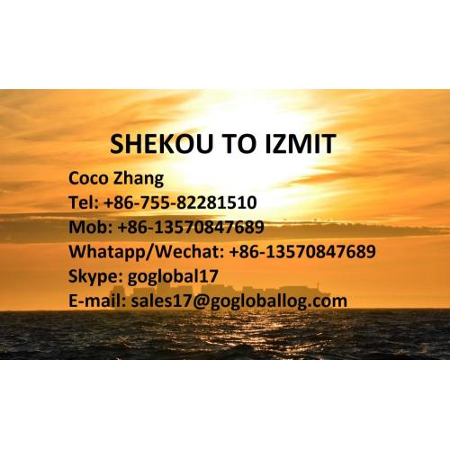 Shenzhen Shekou Sea Freight to Turkey Izmit