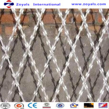 Stand In Reliable Supplier Welded Razor Mesh