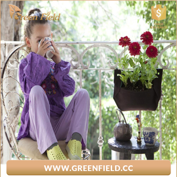 Home Decoration Green Wall Planting Bag Felt Planting Bag
