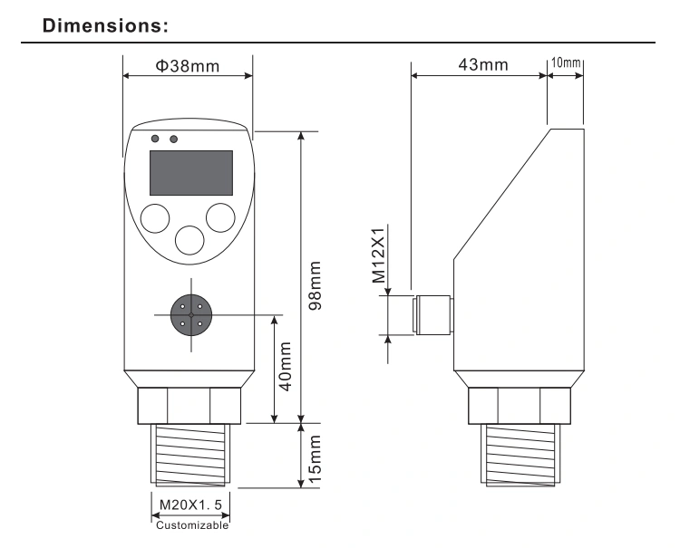 Sanitary Application Smart Electronic Digital Pressure Switch with Tri-Clamp Connection