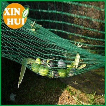 olive fruit harvest net