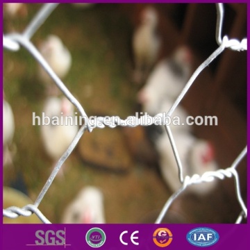 chicken wire mesh philippines