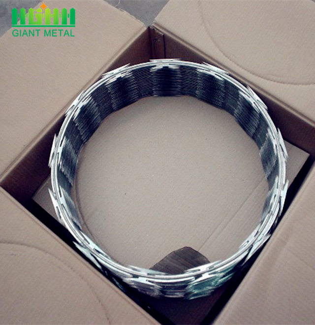 Hot sale security fencing galvanized razor barbed wire