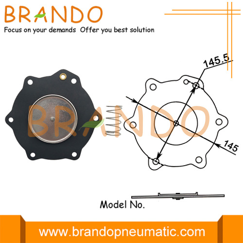 2 &#39;&#39; C113685 2-1 / 2 &#39;&#39; C113686 Pulssprutventilmembran