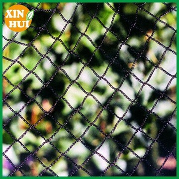 Birds Pest Type Bird Control Netting