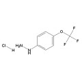 Cloridrato de 4- (trifluorometoxi) fenil-hidrazina Nº CAS 133115-72-7
