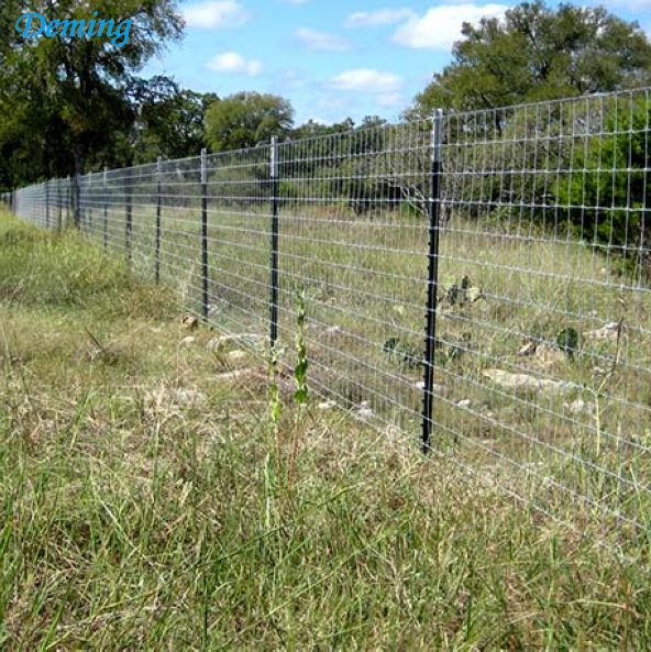 Farm Used Metal and Fence T Post