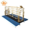 Pig Farming Equipment With Farrowing Crates