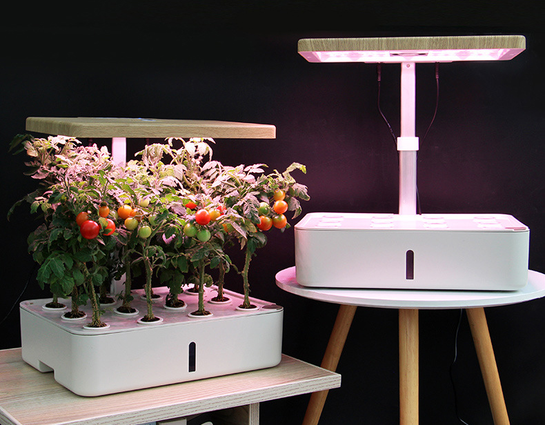 Indoor Intelligent Mini Farm Hydroponic Growing Systems