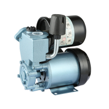 Auto Electric Water Drain Pump for Garden Home Use