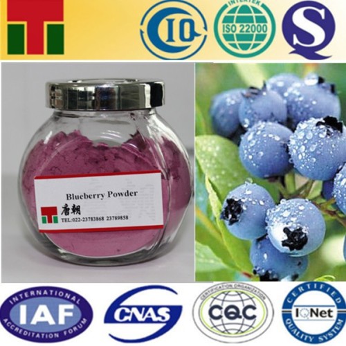 Blueberry Powder, pure and no food additives