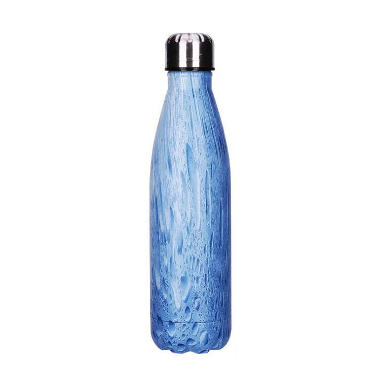 Luxury Iron Sports Insulated Thermos Flask Water Bottle