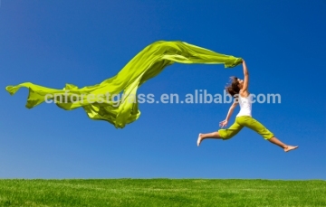 soft and beautiful Artificial grass for your dancing
