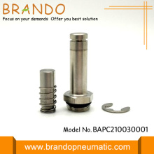 Solenoid Valve Armature For Pulse Valve