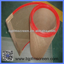 N8005 4x4mm Glass Fiber Fabric/PTFE open mesh belt