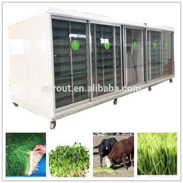 hydroponics fodder machine ,wheat /barley fodder sprout system