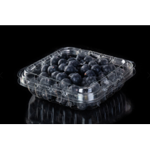 Blueberry-Kommissionierung und Verpackung