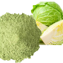 100% Pure Organic Dried Green Cabbage Powder Extract