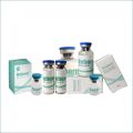 Injectable Medical Aesthetic Polymer Polycaprolactone Pcl