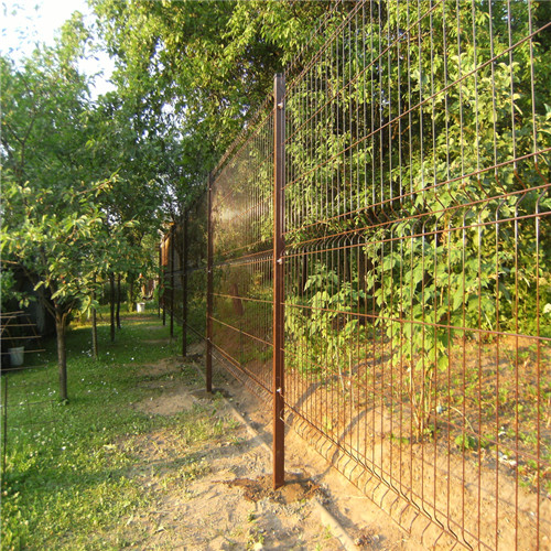 galvanized and PE coated wire mesh fence