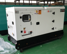 Auto Start Silent Diesel Generator with Canopy