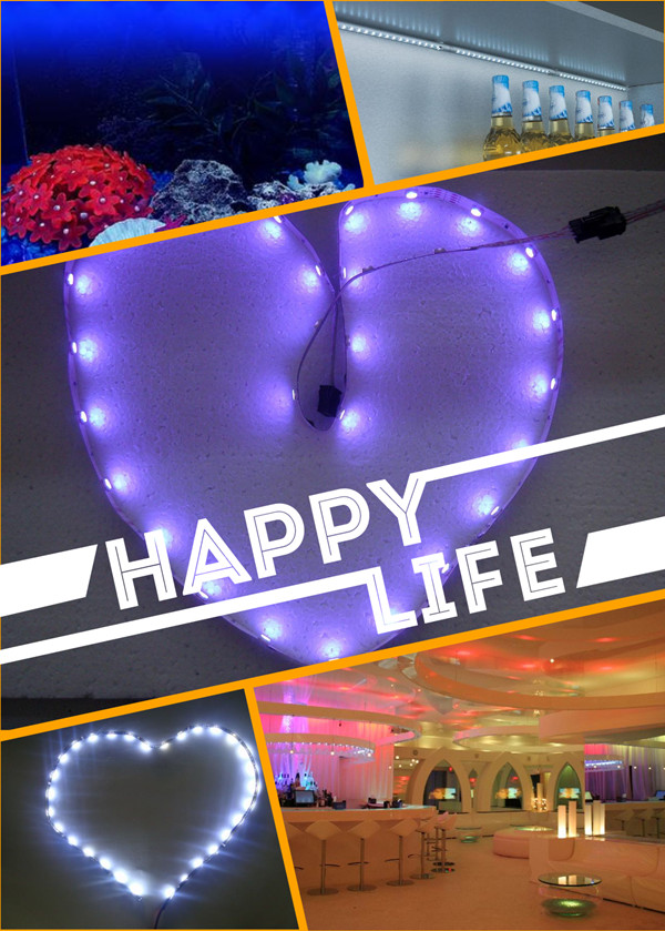Custom IP65 Waterproof Flexible LED Strip Lights for Party Wedding Decoration
